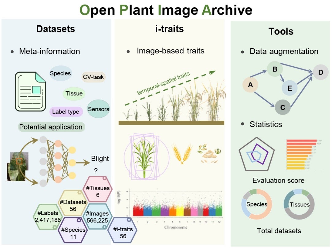 亚星游戏·yaxin222(中国官网)_亚星注册登录
