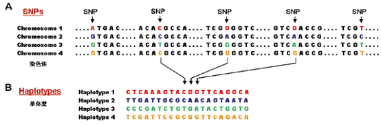 亚星游戏·yaxin222(中国官网)_亚星注册登录