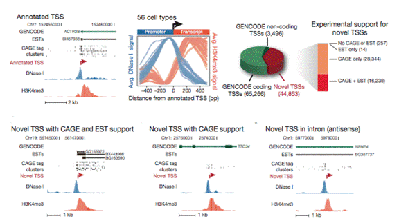 亚星游戏·yaxin222(中国官网)_亚星注册登录