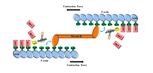 亚星游戏·yaxin222(中国官网)_亚星注册登录