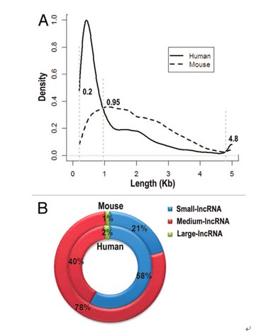 亚星游戏·yaxin222(中国官网)_亚星注册登录