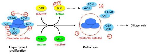 亚星游戏·yaxin222(中国官网)_亚星注册登录