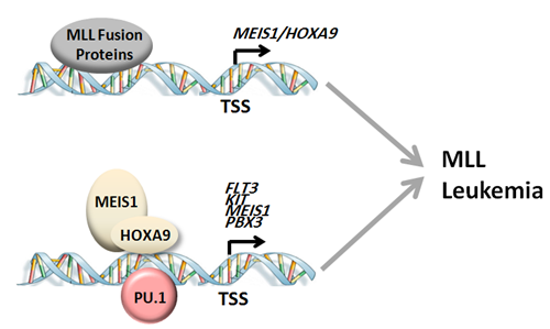 亚星游戏·yaxin222(中国官网)_亚星注册登录