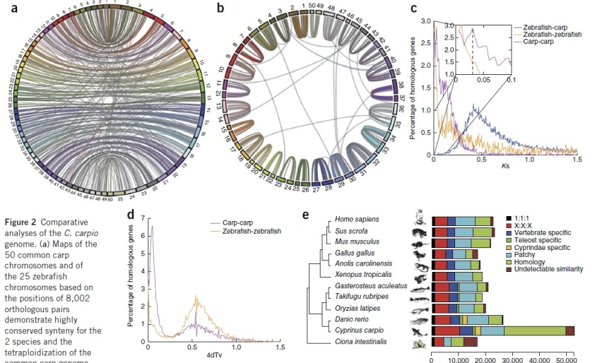 亚星游戏·yaxin222(中国官网)_亚星注册登录