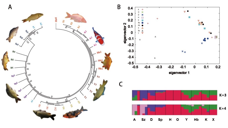 亚星游戏·yaxin222(中国官网)_亚星注册登录