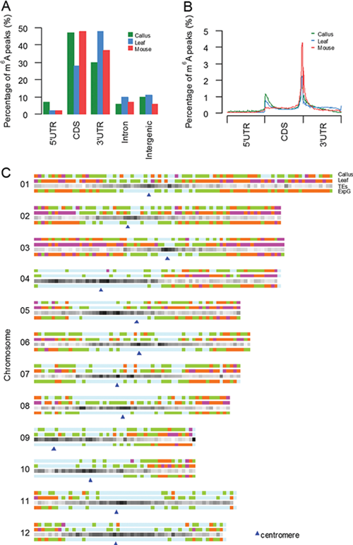 亚星游戏·yaxin222(中国官网)_亚星注册登录