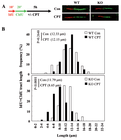 亚星游戏·yaxin222(中国官网)_亚星注册登录