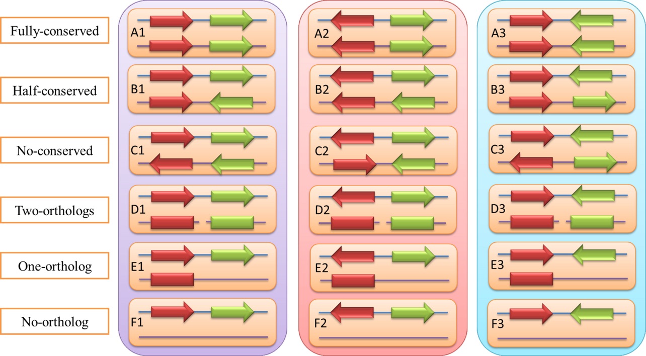 亚星游戏·yaxin222(中国官网)_亚星注册登录