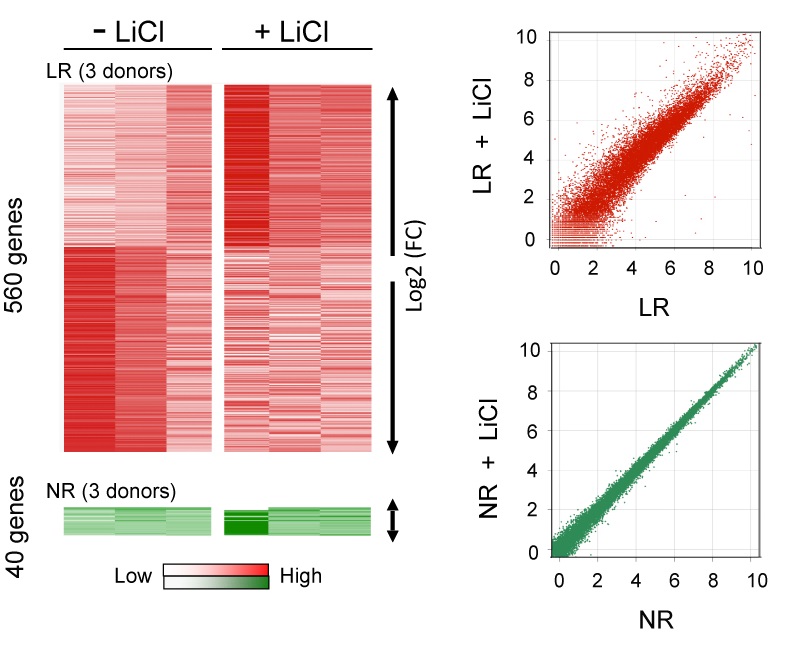 亚星游戏·yaxin222(中国官网)_亚星注册登录