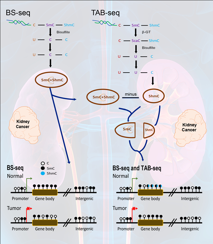 亚星游戏·yaxin222(中国官网)_亚星注册登录