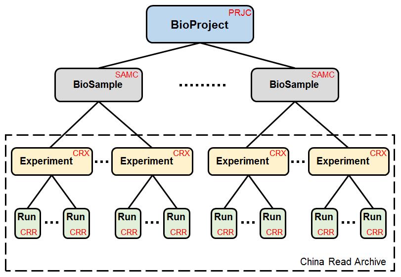 亚星游戏·yaxin222(中国官网)_亚星注册登录