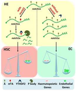 亚星游戏·yaxin222(中国官网)_亚星注册登录
