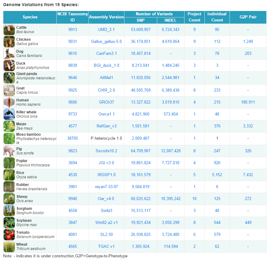 亚星游戏·yaxin222(中国官网)_亚星注册登录