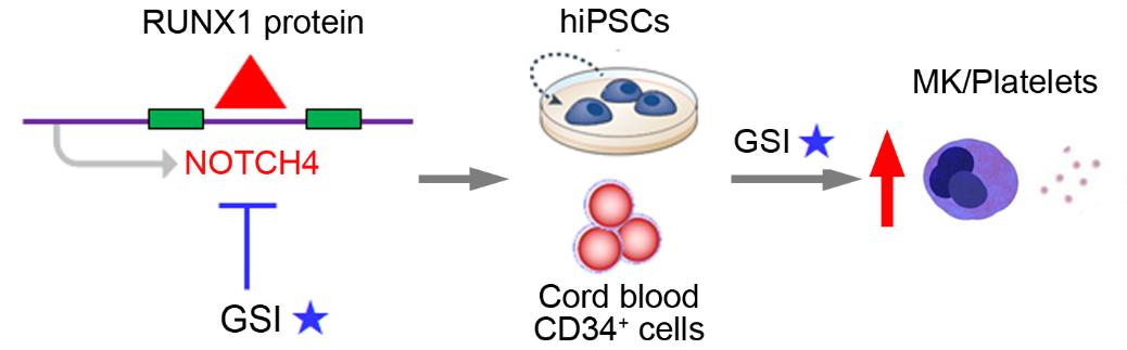 亚星游戏·yaxin222(中国官网)_亚星注册登录