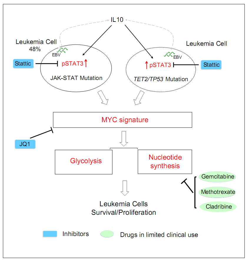 亚星游戏·yaxin222(中国官网)_亚星注册登录