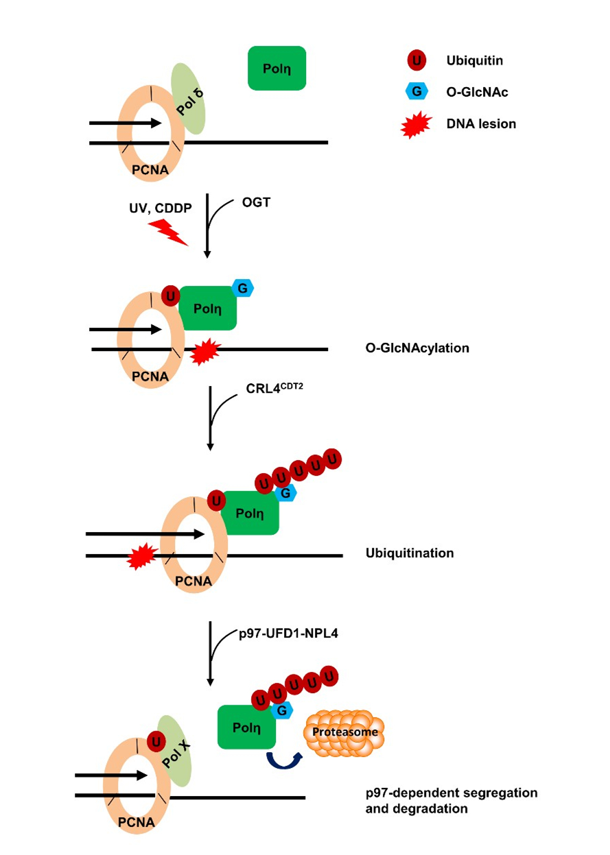 亚星游戏·yaxin222(中国官网)_亚星注册登录