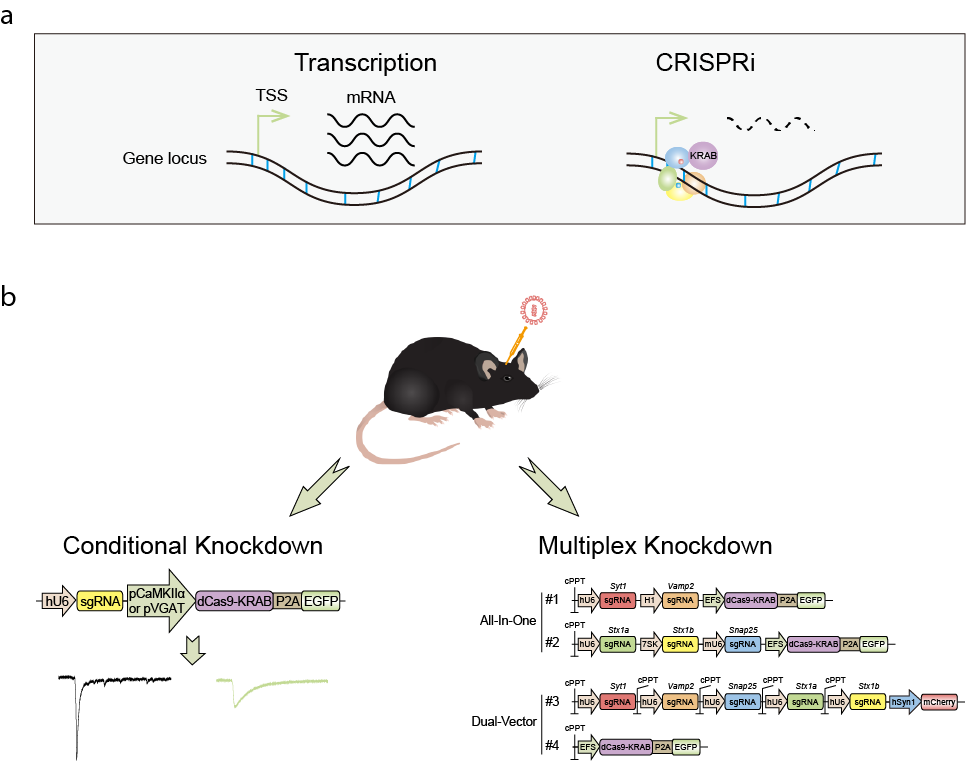 亚星游戏·yaxin222(中国官网)_亚星注册登录