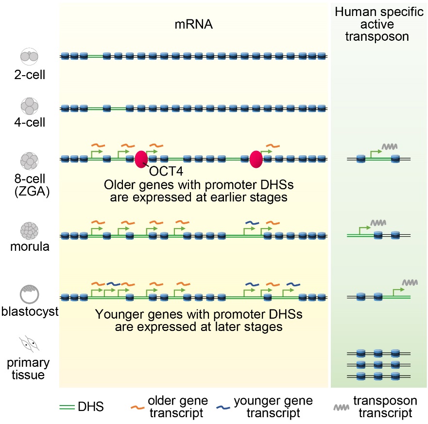 亚星游戏·yaxin222(中国官网)_亚星注册登录