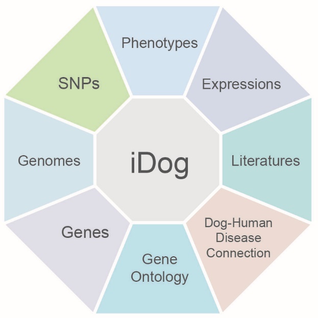 亚星游戏·yaxin222(中国官网)_亚星注册登录