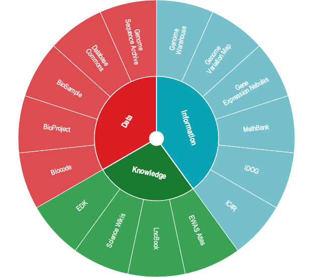 亚星游戏·yaxin222(中国官网)_亚星注册登录