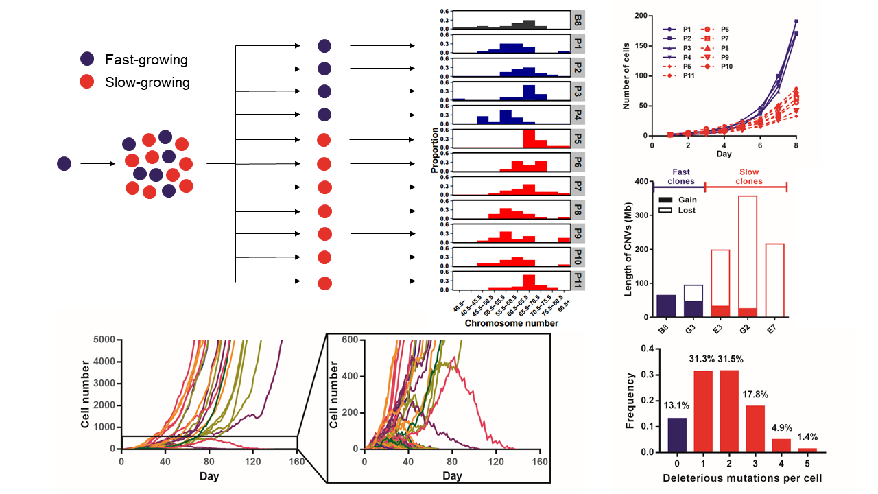 亚星游戏·yaxin222(中国官网)_亚星注册登录