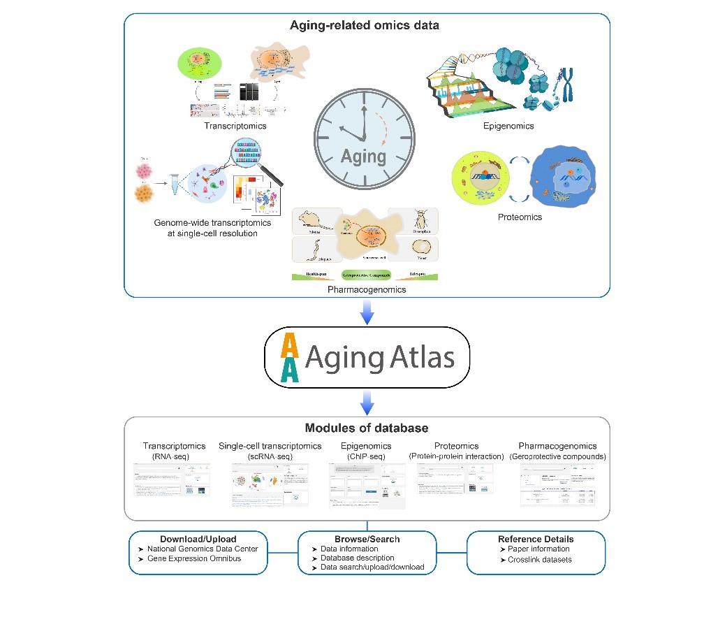 亚星游戏·yaxin222(中国官网)_亚星注册登录