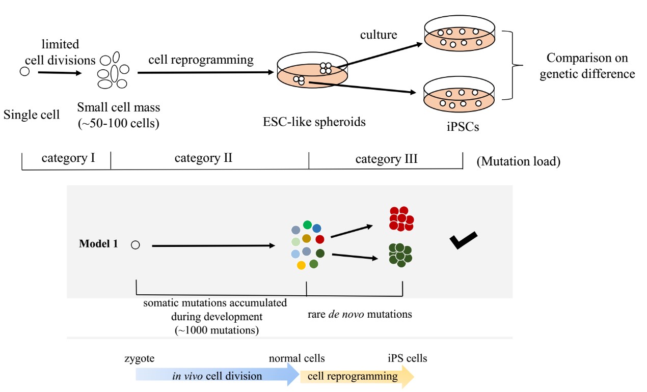 亚星游戏·yaxin222(中国官网)_亚星注册登录