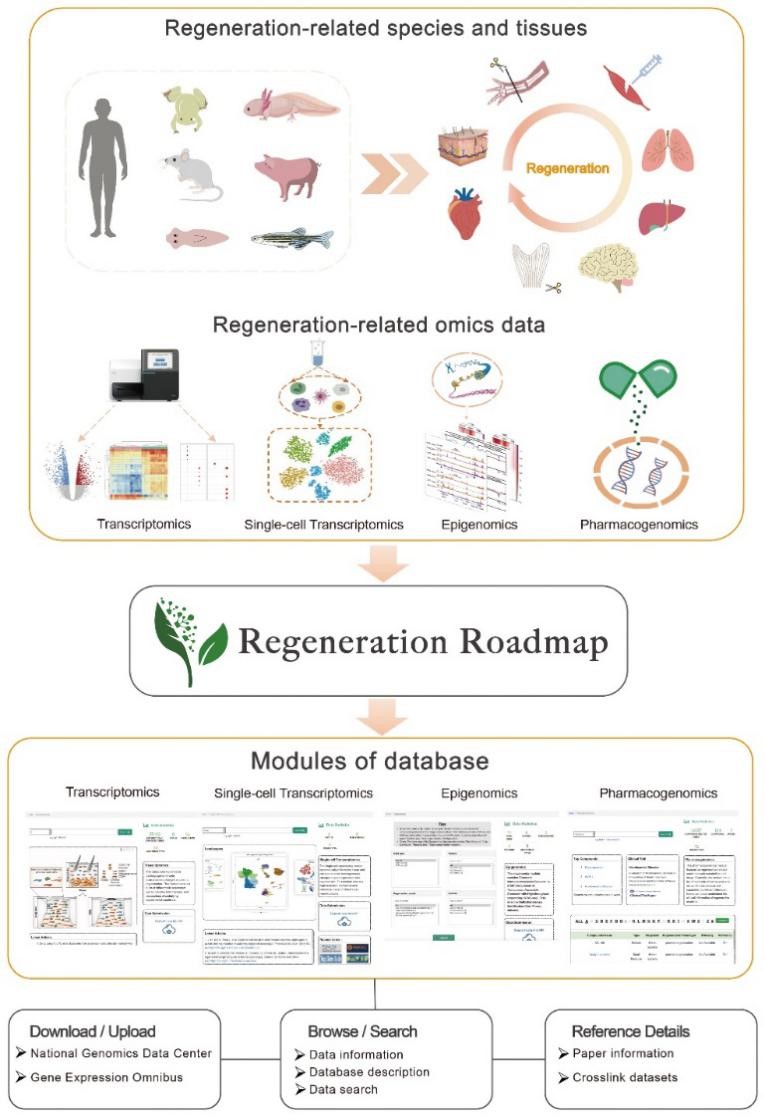 亚星游戏·yaxin222(中国官网)_亚星注册登录