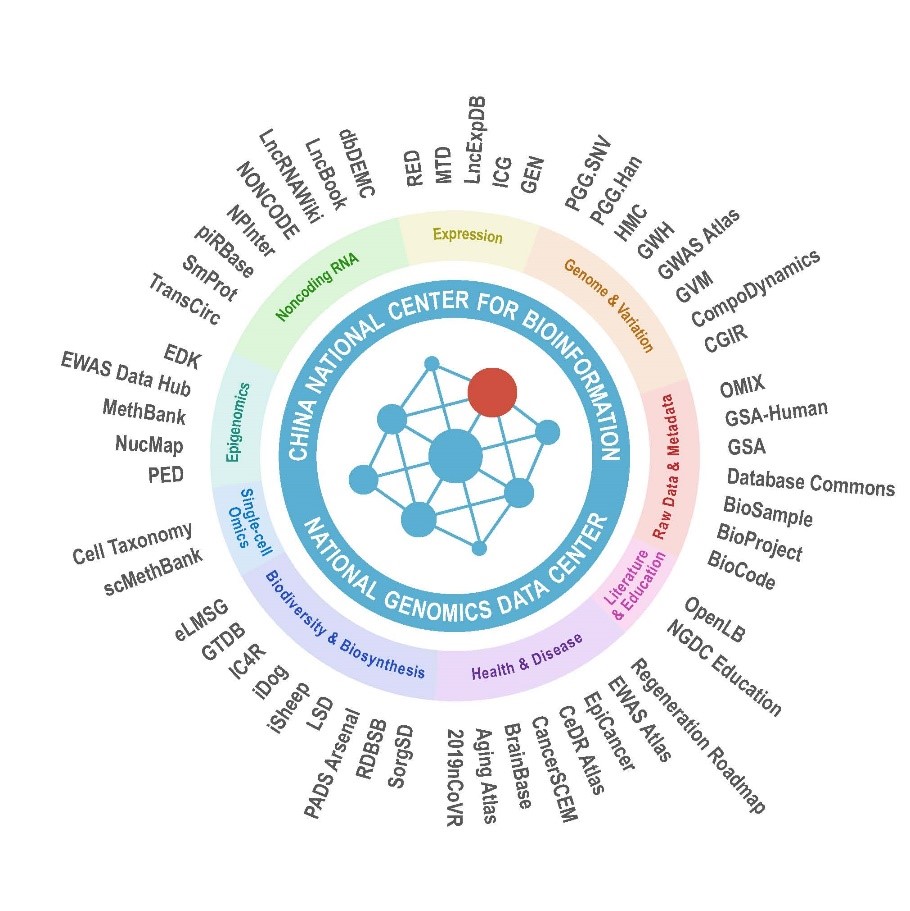 亚星游戏·yaxin222(中国官网)_亚星注册登录