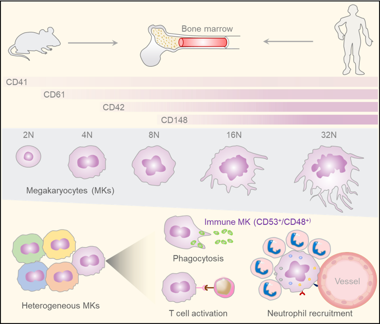 亚星游戏·yaxin222(中国官网)_亚星注册登录