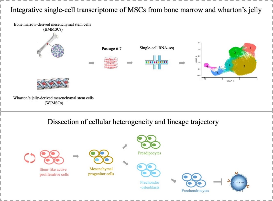 亚星游戏·yaxin222(中国官网)_亚星注册登录