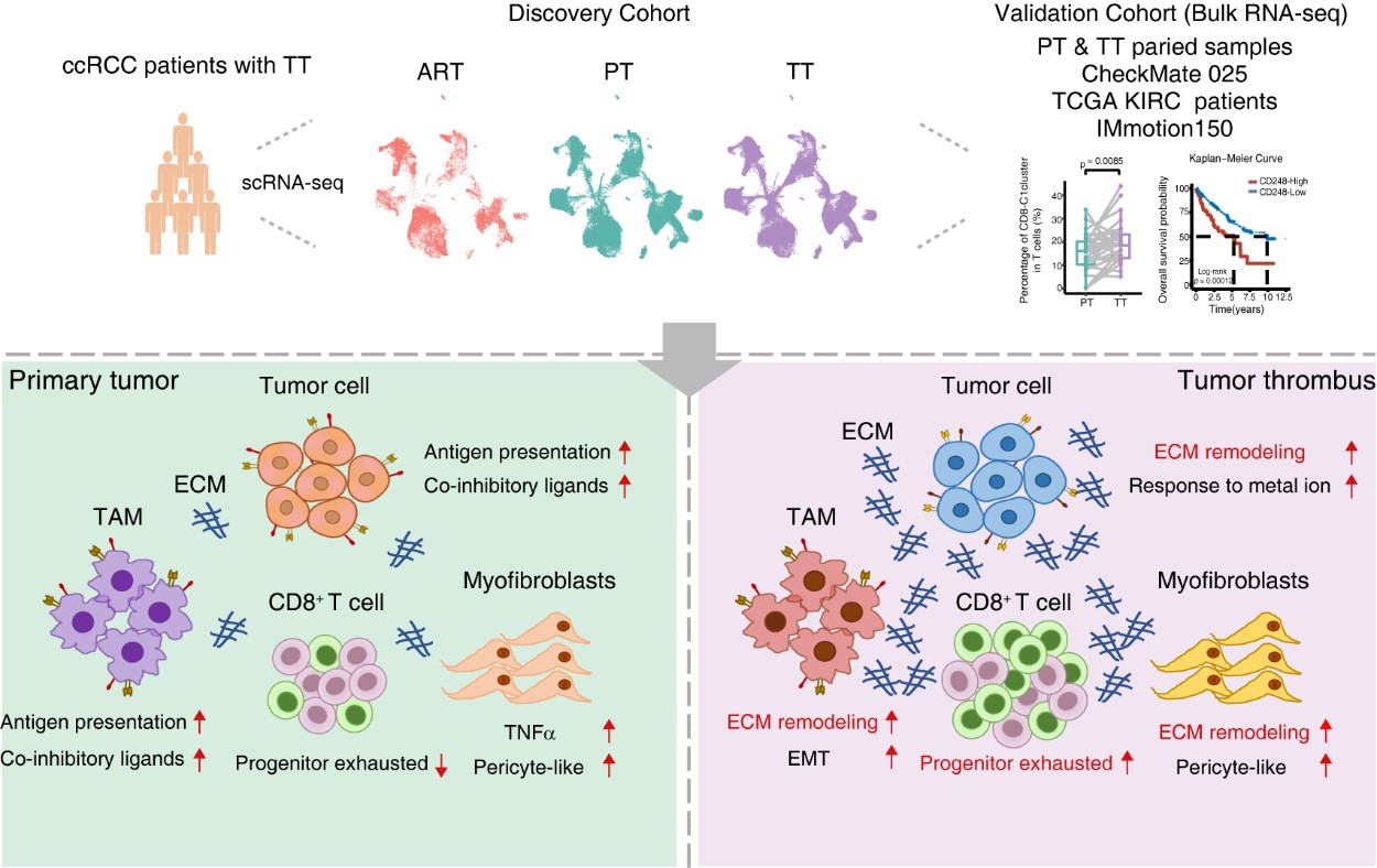 亚星游戏·yaxin222(中国官网)_亚星注册登录