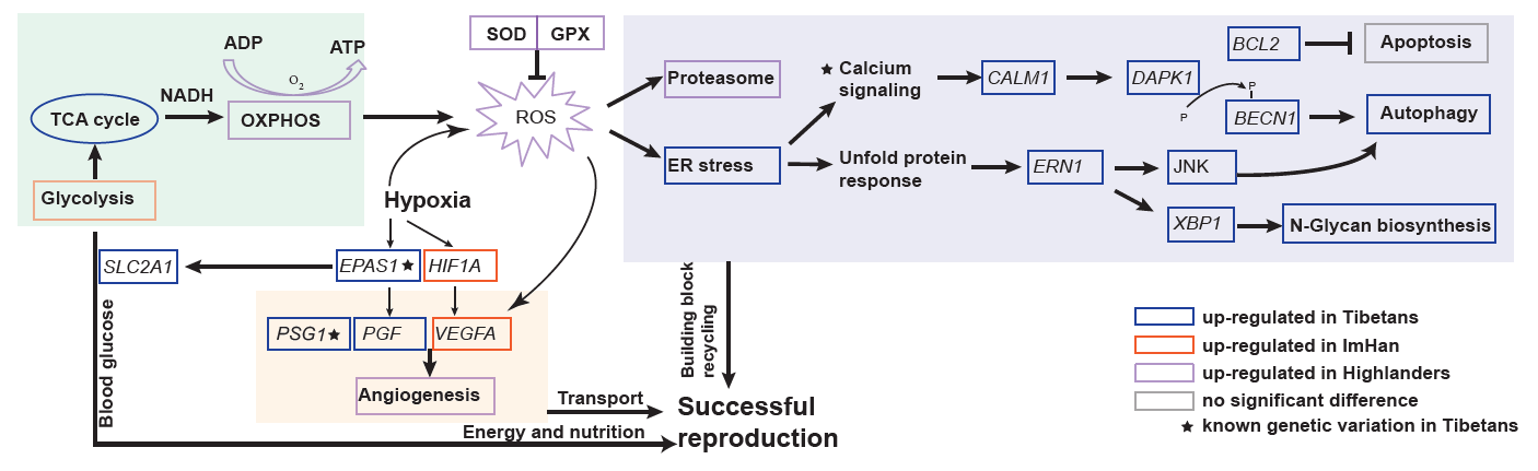 亚星游戏·yaxin222(中国官网)_亚星注册登录