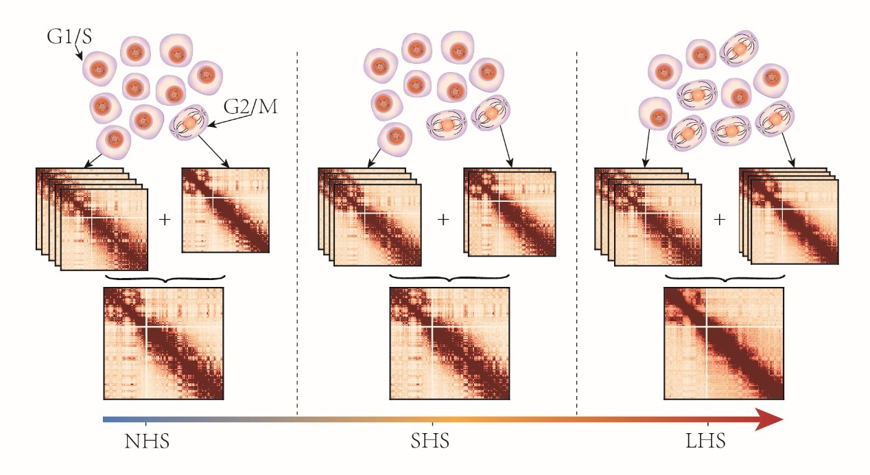 亚星游戏·yaxin222(中国官网)_亚星注册登录