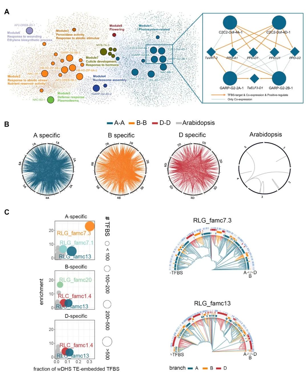 亚星游戏·yaxin222(中国官网)_亚星注册登录