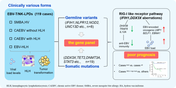 亚星游戏·yaxin222(中国官网)_亚星注册登录