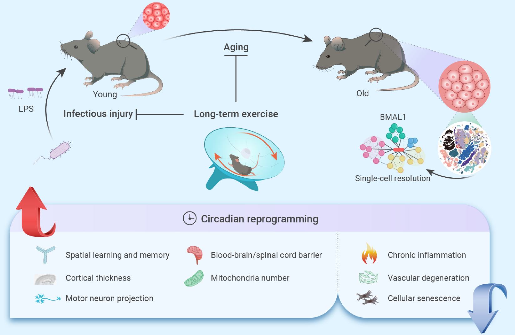 亚星游戏·yaxin222(中国官网)_亚星注册登录