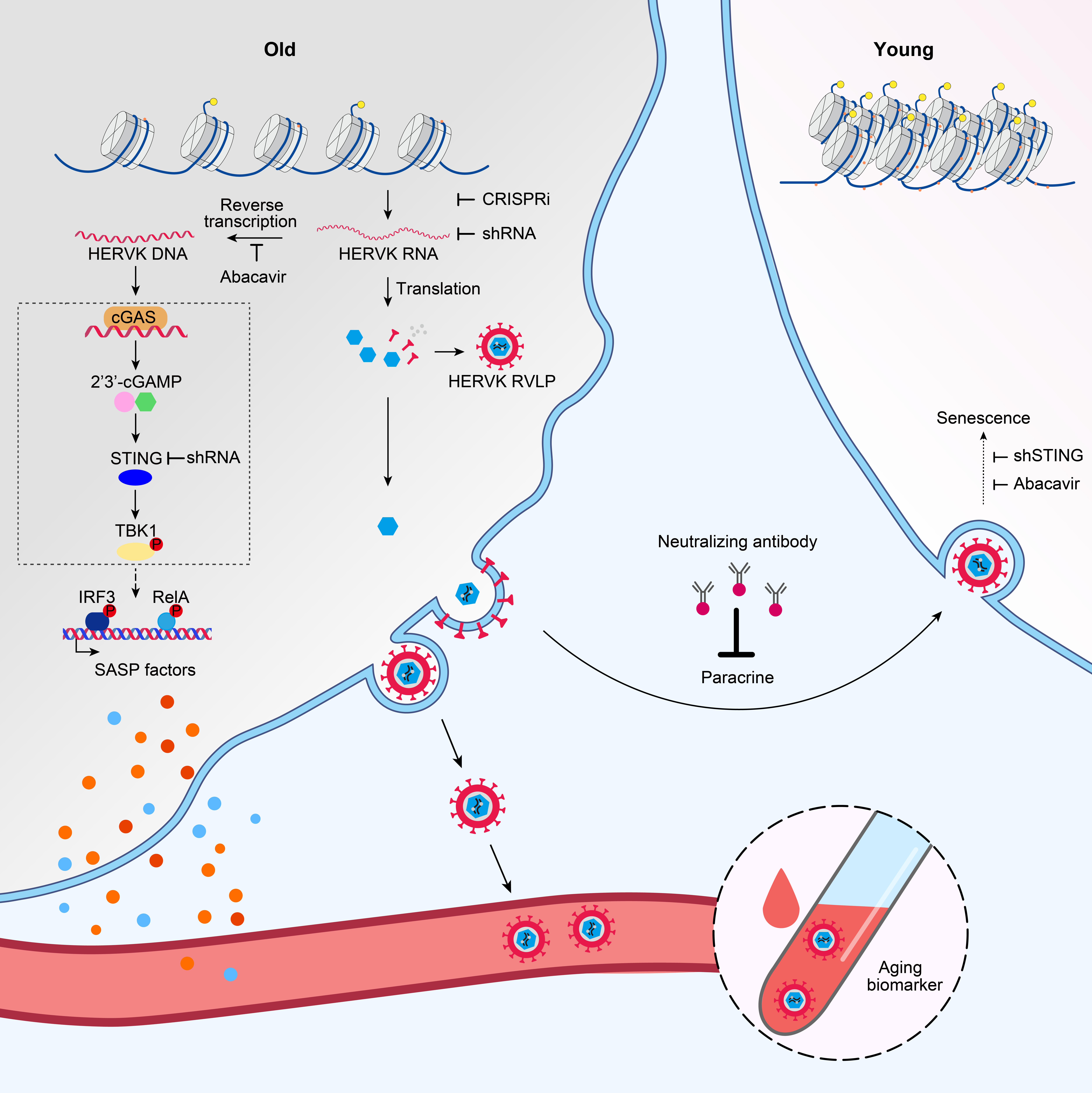 亚星游戏·yaxin222(中国官网)_亚星注册登录