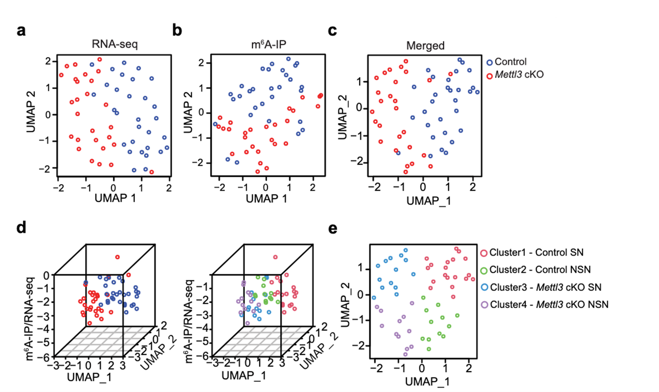 亚星游戏·yaxin222(中国官网)_亚星注册登录