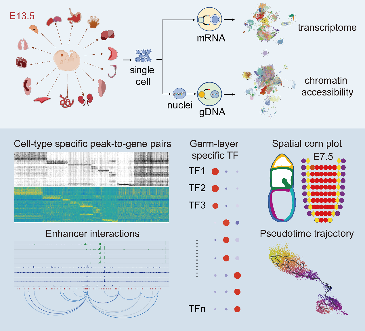 亚星游戏·yaxin222(中国官网)_亚星注册登录