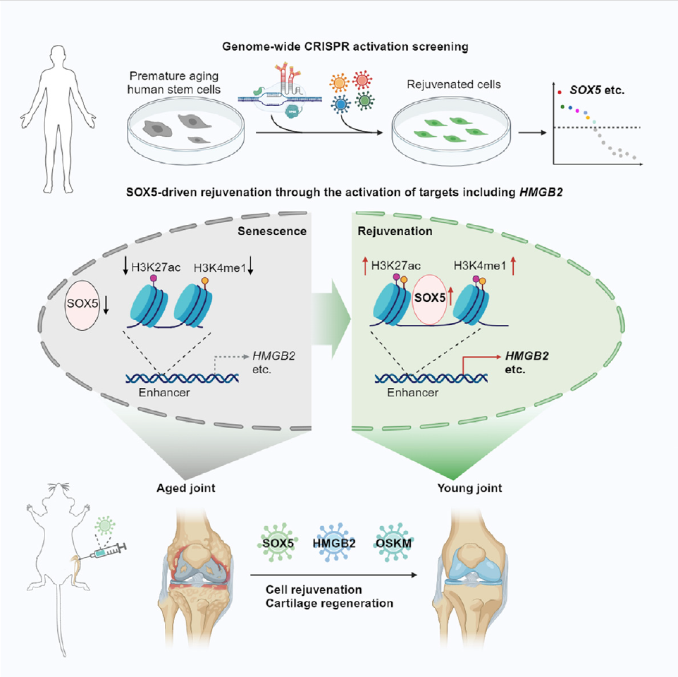 亚星游戏·yaxin222(中国官网)_亚星注册登录