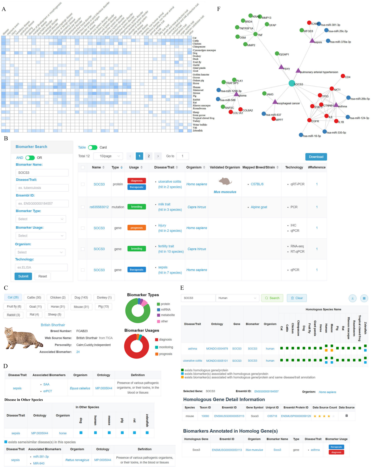 亚星游戏·yaxin222(中国官网)_亚星注册登录