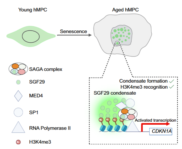 亚星游戏·yaxin222(中国官网)_亚星注册登录