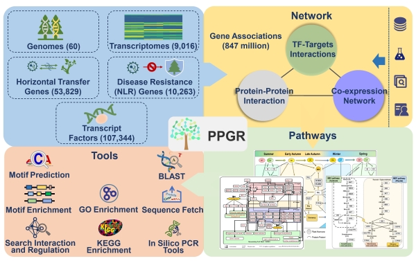 亚星游戏·yaxin222(中国官网)_亚星注册登录