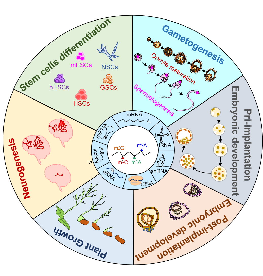 亚星游戏·yaxin222(中国官网)_亚星注册登录