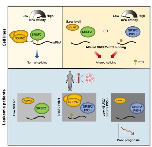 亚星游戏·yaxin222(中国官网)_亚星注册登录