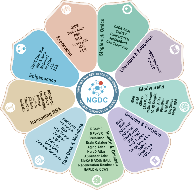 亚星游戏·yaxin222(中国官网)_亚星注册登录