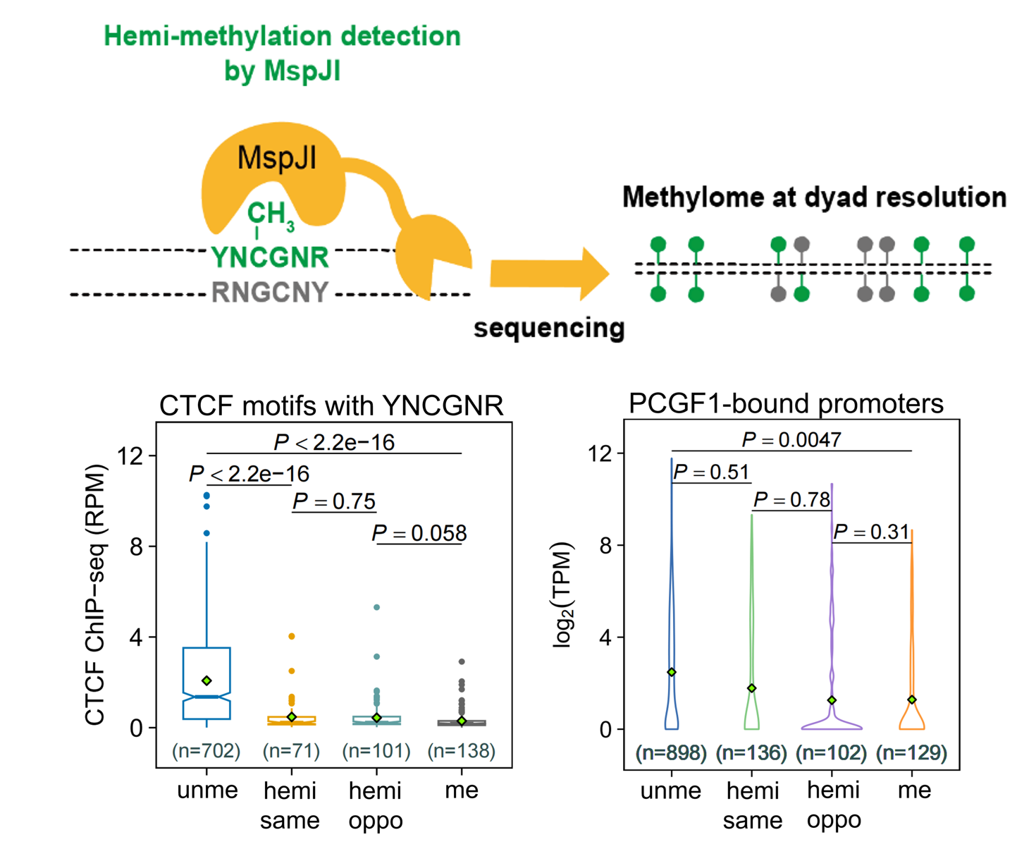 亚星游戏·yaxin222(中国官网)_亚星注册登录