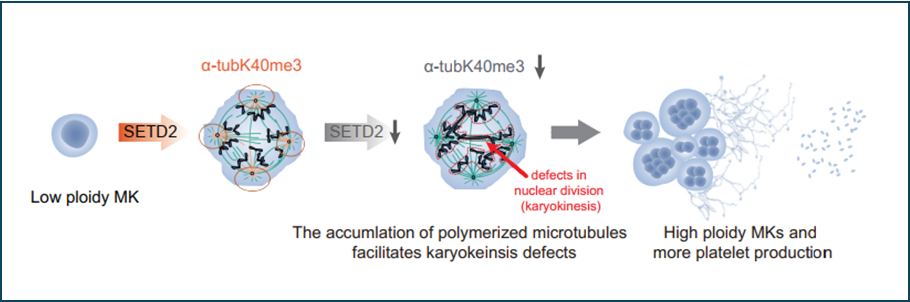亚星游戏·yaxin222(中国官网)_亚星注册登录