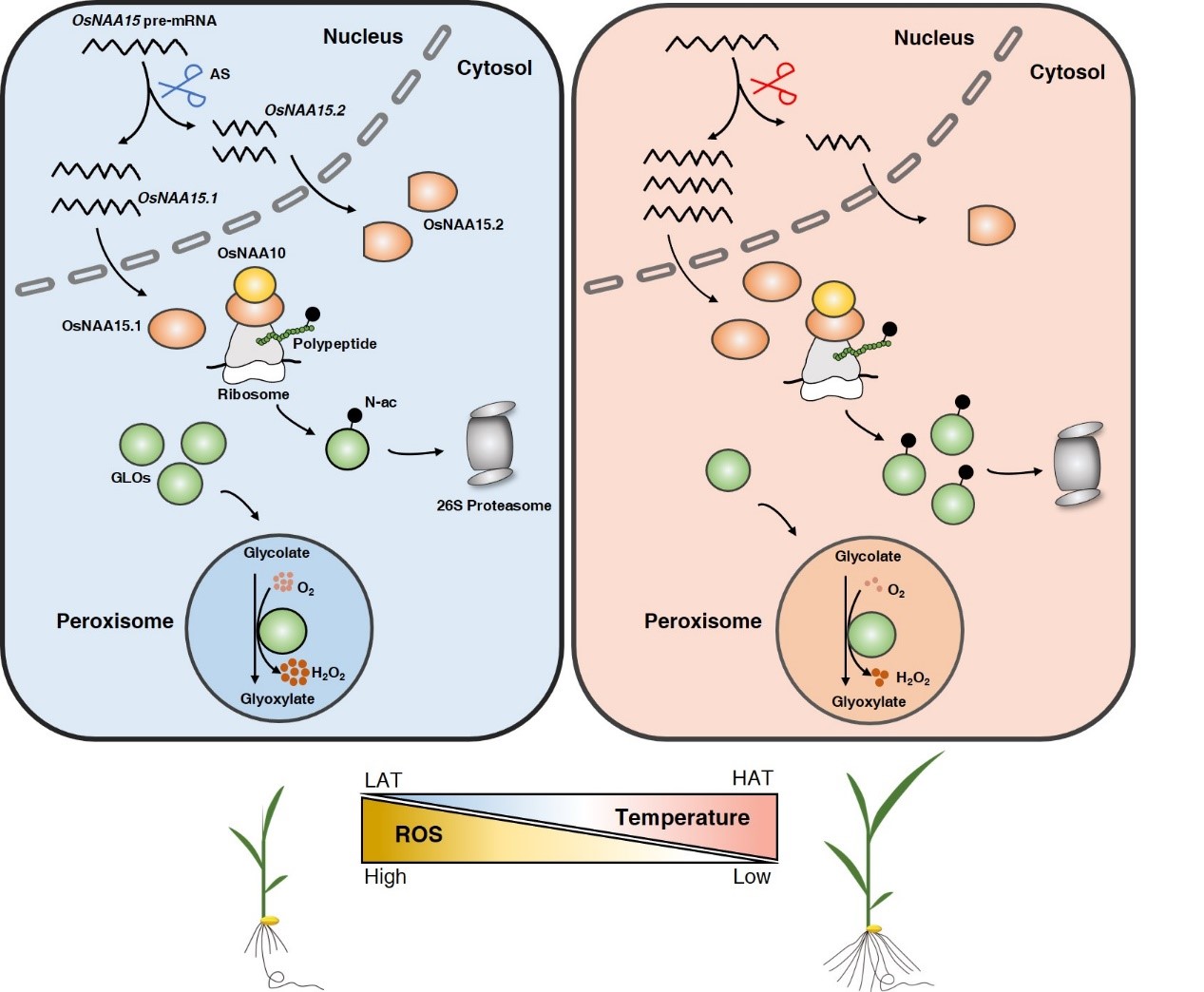 亚星游戏·yaxin222(中国官网)_亚星注册登录